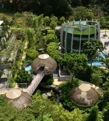 Tree House (D23), Condominium #562081131